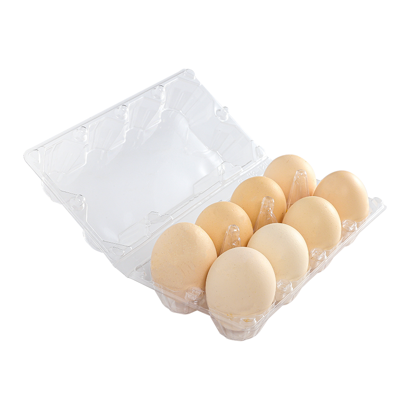 Egg tray 8 cells(2*4)