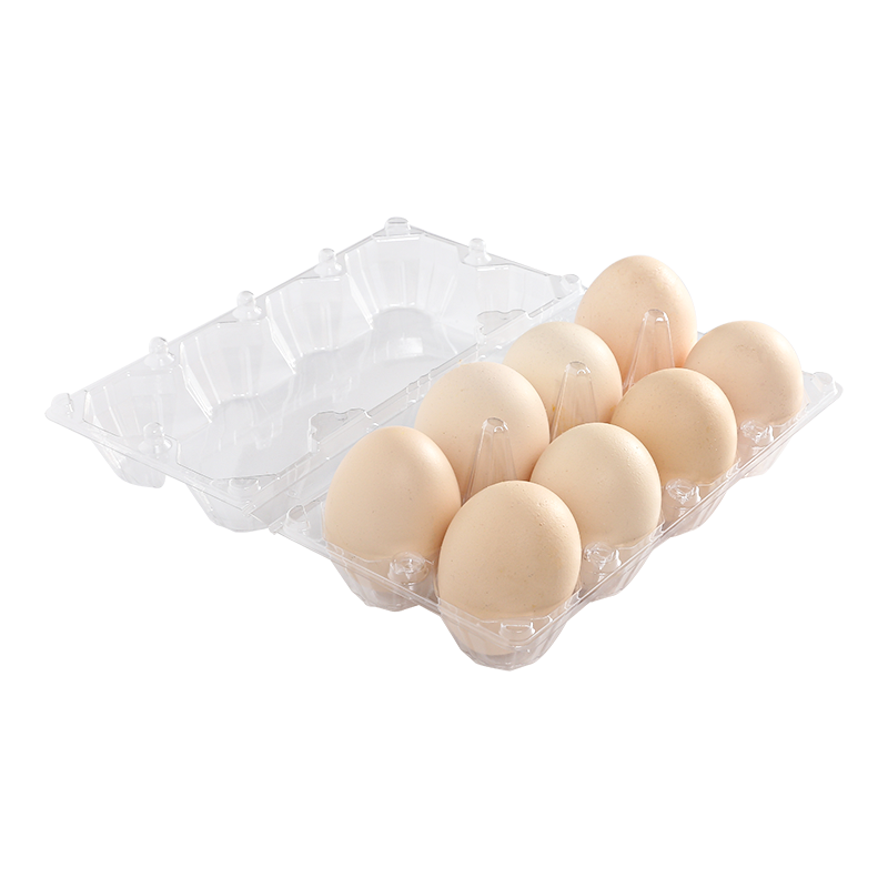 Egg tray 8 cells(2*4)