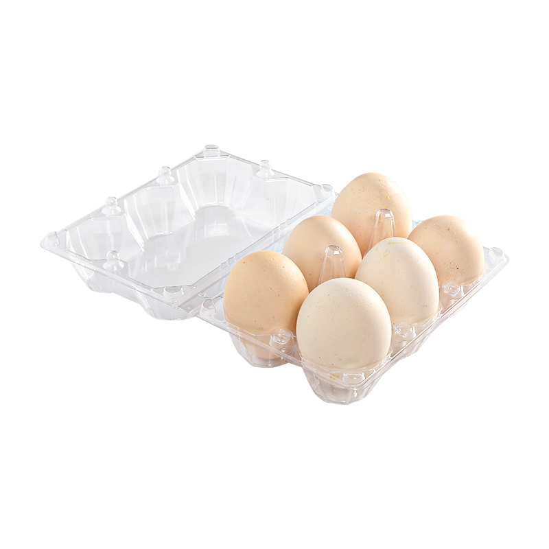 Egg tray 6 cells(2*3)