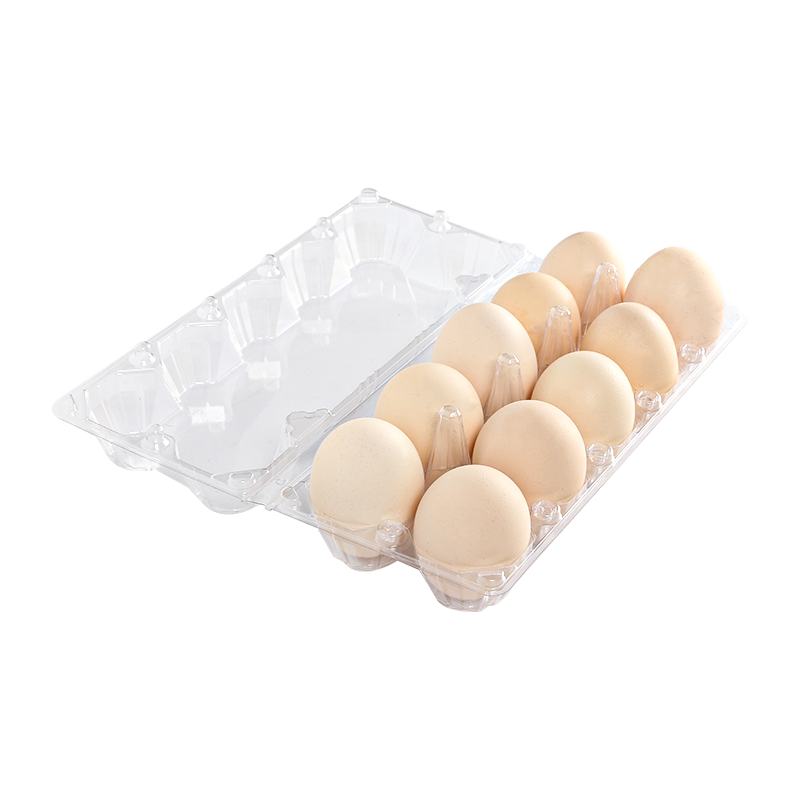 Egg tray 10 cells(2*5)