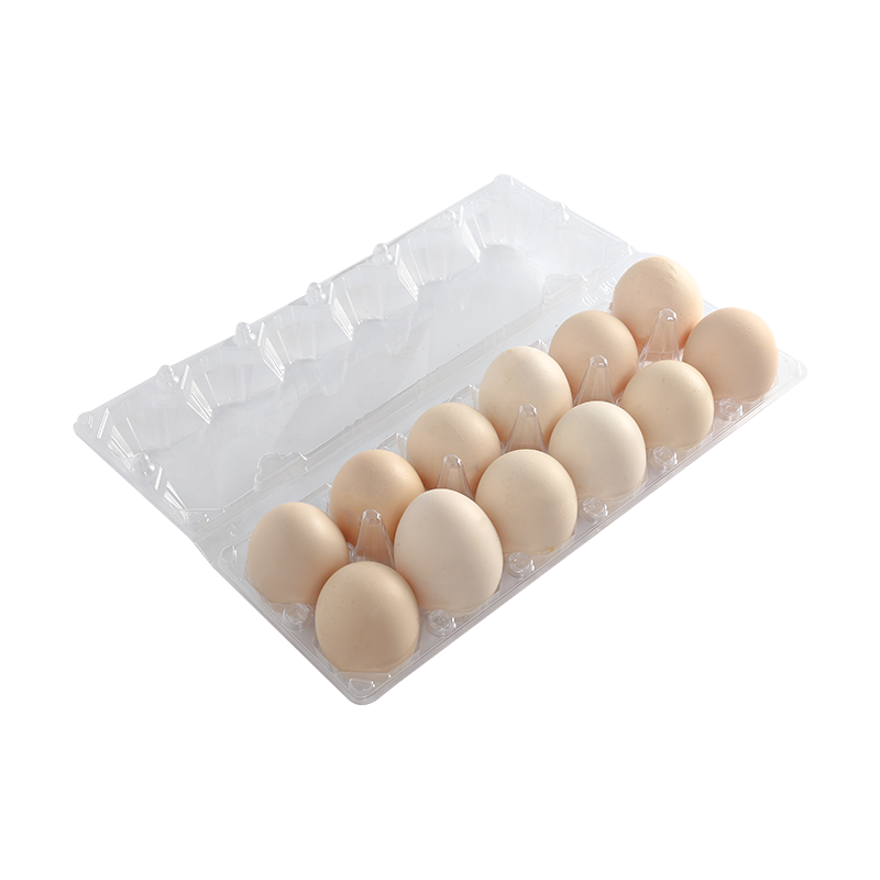 Egg tray 12 cells(2*6)