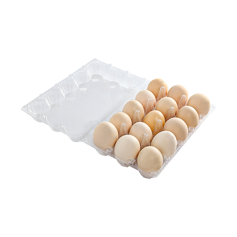 Egg tray 15 cells(3*5)